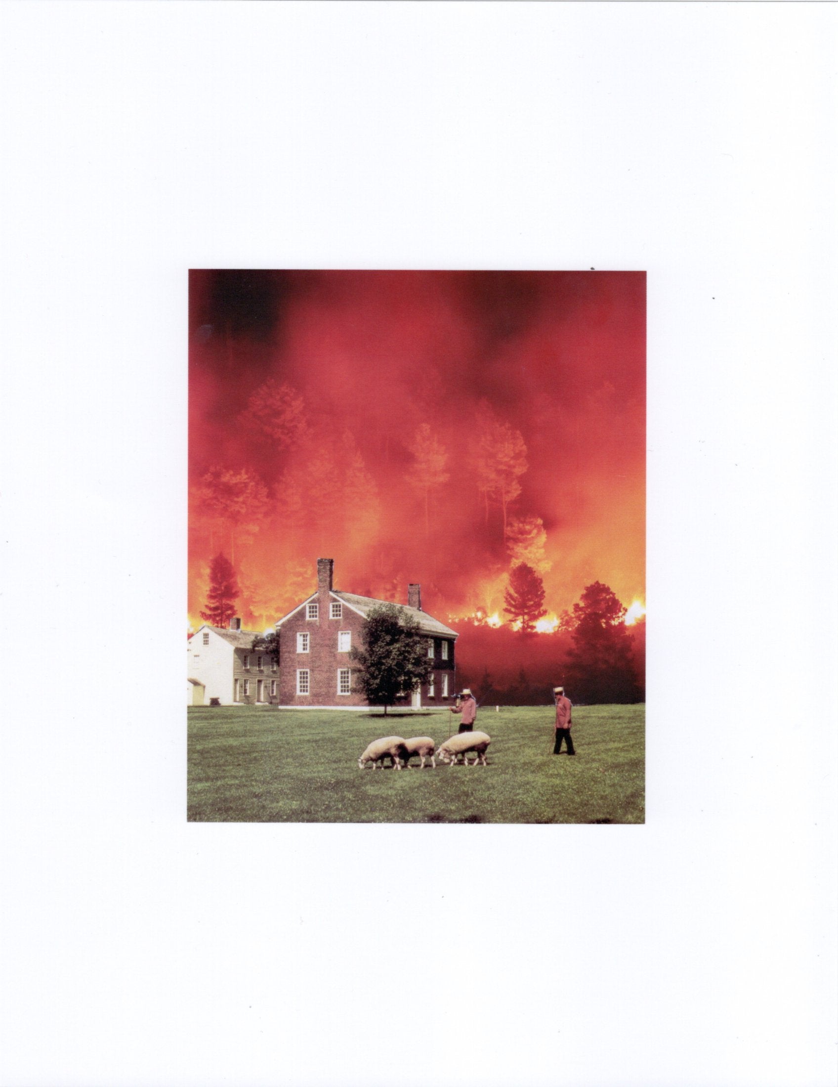 Collage of Two people with sheep in a field as a large fire burns in the background.